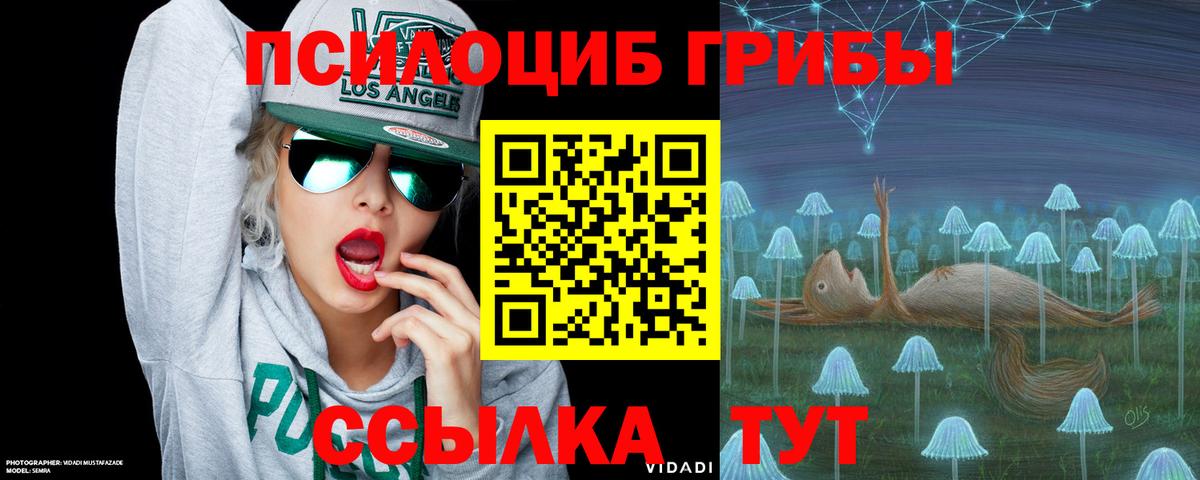 Псилоцибиновые грибы MAGIC MUSHROOMS Лесозаводск